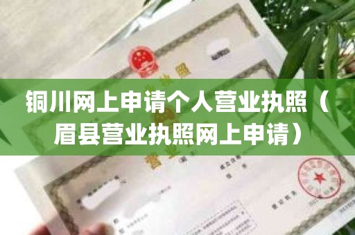 铜川网上申请个人营业执照（眉县营业执照网上申请）