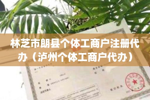 林芝市朗县个体工商户注册代办（泸州个体工商户代办）