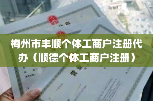 梅州市丰顺个体工商户注册代办（顺德个体工商户注册）