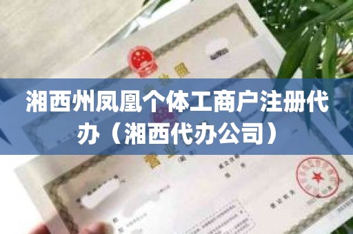 湘西州凤凰个体工商户注册代办（湘西代办公司）