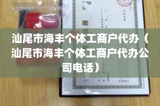 汕尾市海丰个体工商户代办（汕尾市海丰个体工商户代办公司电话）