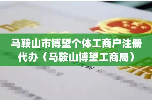 马鞍山市博望个体工商户注册代办（马鞍山博望工商局）