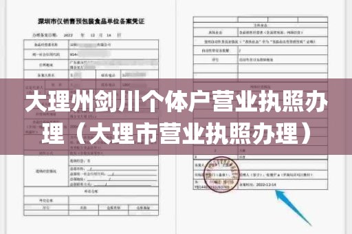 大理州剑川个体户营业执照办理（大理市营业执照办理）