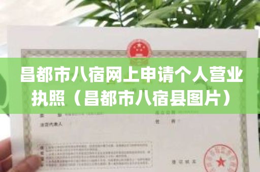 昌都市八宿网上申请个人营业执照（昌都市八宿县图片）