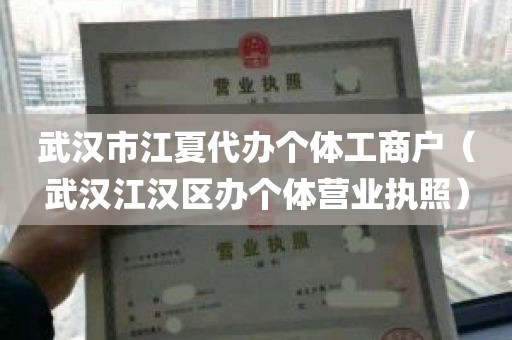 武汉市江夏代办个体工商户（武汉江汉区办个体营业执照）