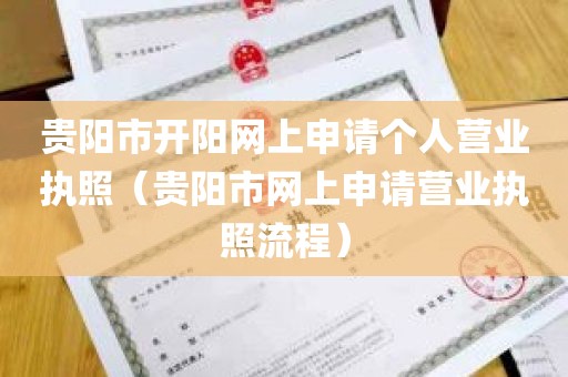贵阳市开阳网上申请个人营业执照（贵阳市网上申请营业执照流程）