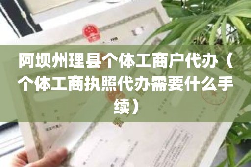 阿坝州理县个体工商户代办（个体工商执照代办需要什么手续）