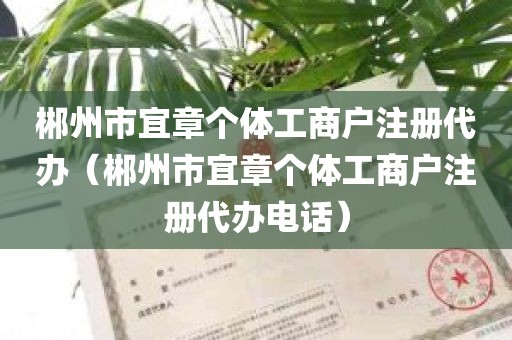 郴州市宜章个体工商户注册代办（郴州市宜章个体工商户注册代办电话）