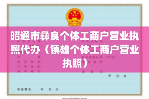 昭通市彝良个体工商户营业执照代办（镇雄个体工商户营业执照）