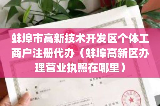 蚌埠市高新技术开发区个体工商户注册代办（蚌埠高新区办理营业执照在哪里）