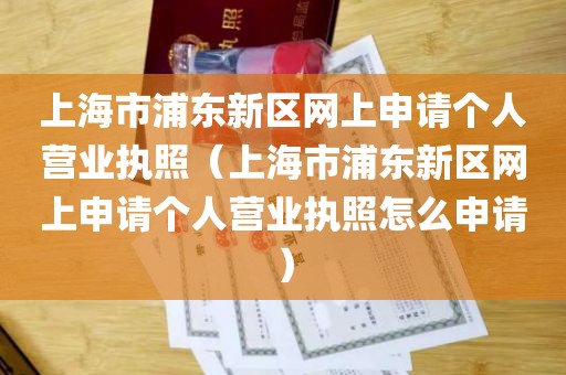 上海市浦东新区网上申请个人营业执照（上海市浦东新区网上申请个人营业执照怎么申请）