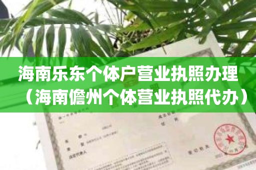 海南乐东个体户营业执照办理（海南儋州个体营业执照代办）