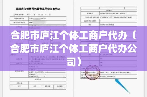合肥市庐江个体工商户代办（合肥市庐江个体工商户代办公司）