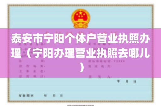 泰安市宁阳个体户营业执照办理（宁阳办理营业执照去哪儿）