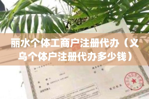 丽水个体工商户注册代办（义乌个体户注册代办多少钱）
