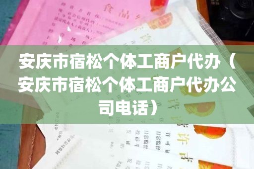 安庆市宿松个体工商户代办（安庆市宿松个体工商户代办公司电话）