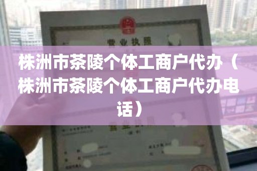 株洲市茶陵个体工商户代办（株洲市茶陵个体工商户代办电话）
