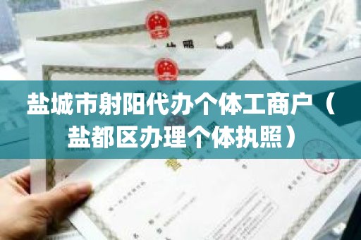 盐城市射阳代办个体工商户（盐都区办理个体执照）