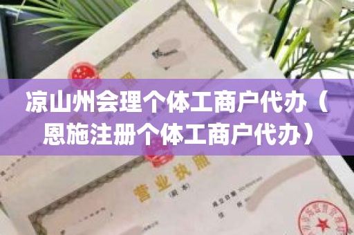 凉山州会理个体工商户代办（恩施注册个体工商户代办）