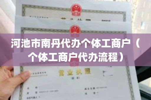 河池市南丹代办个体工商户（个体工商户代办流程）
