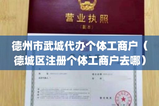 德州市武城代办个体工商户（德城区注册个体工商户去哪）