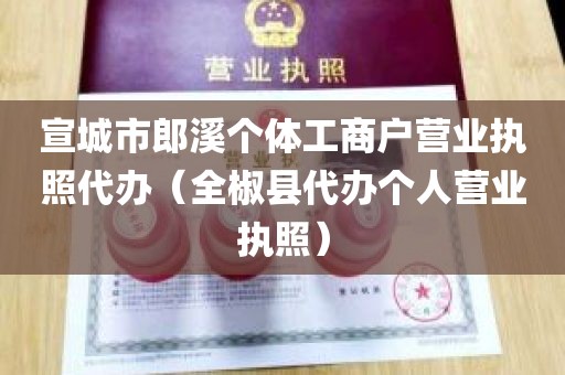 宣城市郎溪个体工商户营业执照代办（全椒县代办个人营业执照）