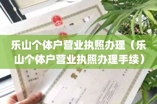 乐山个体户营业执照办理（乐山个体户营业执照办理手续）
