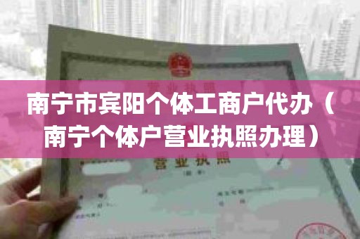 南宁市宾阳个体工商户代办（南宁个体户营业执照办理）