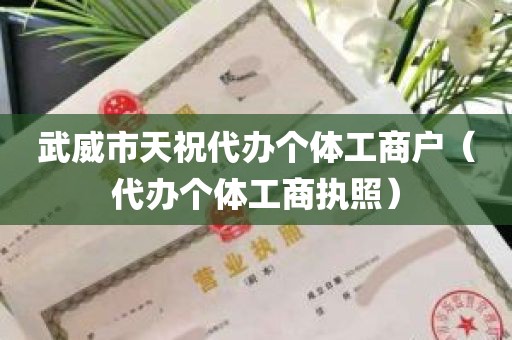 武威市天祝代办个体工商户（代办个体工商执照）