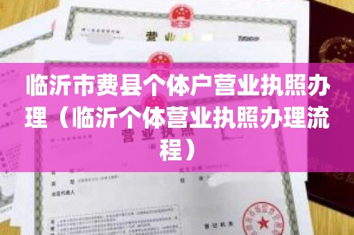 临沂市费县个体户营业执照办理（临沂个体营业执照办理流程）