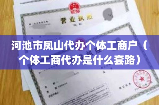 河池市凤山代办个体工商户（个体工商代办是什么套路）