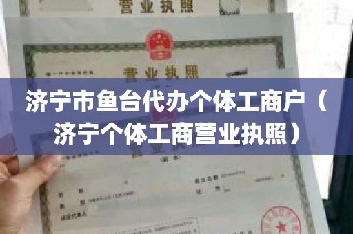 济宁市鱼台代办个体工商户（济宁个体工商营业执照）