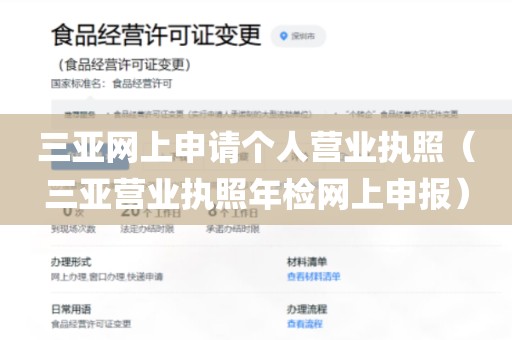 三亚网上申请个人营业执照（三亚营业执照年检网上申报）