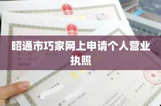 昭通市巧家网上申请个人营业执照
