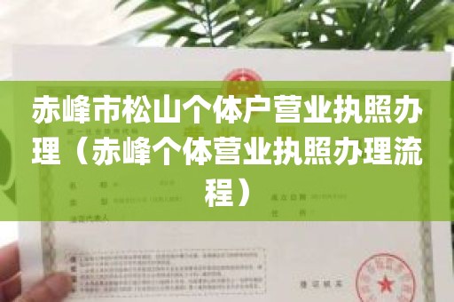 赤峰市松山个体户营业执照办理（赤峰个体营业执照办理流程）