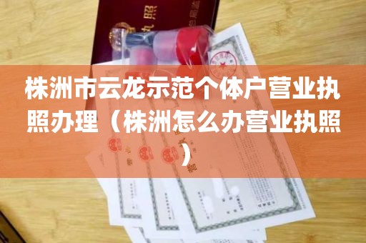 株洲市云龙示范个体户营业执照办理（株洲怎么办营业执照）