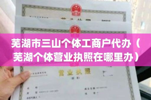 芜湖市三山个体工商户代办（芜湖个体营业执照在哪里办）