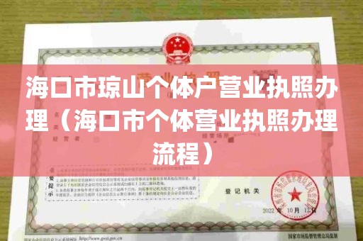 海口市琼山个体户营业执照办理（海口市个体营业执照办理流程）
