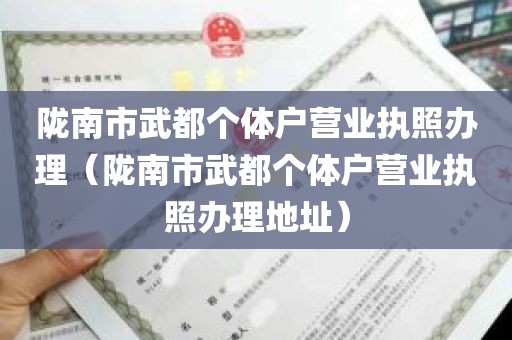 陇南市武都个体户营业执照办理（陇南市武都个体户营业执照办理地址）