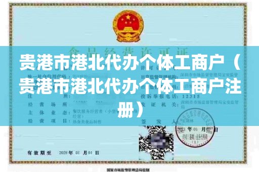 贵港市港北代办个体工商户（贵港市港北代办个体工商户注册）