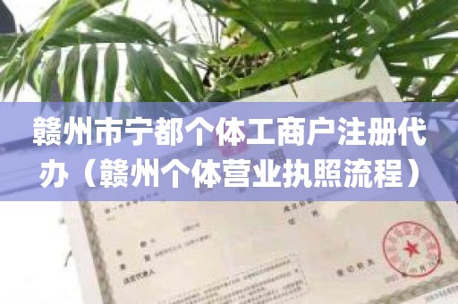 赣州市宁都个体工商户注册代办（赣州个体营业执照流程）