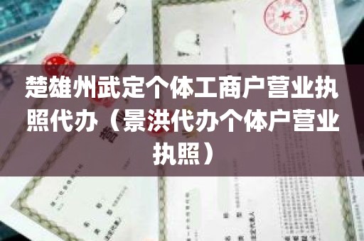 楚雄州武定个体工商户营业执照代办（景洪代办个体户营业执照）