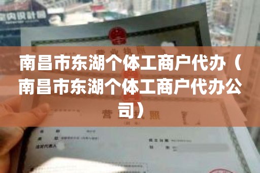 南昌市东湖个体工商户代办（南昌市东湖个体工商户代办公司）