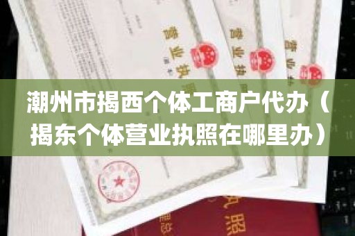 潮州市揭西个体工商户代办（揭东个体营业执照在哪里办）