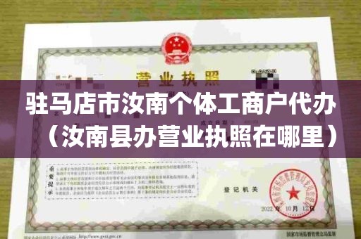 驻马店市汝南个体工商户代办（汝南县办营业执照在哪里）