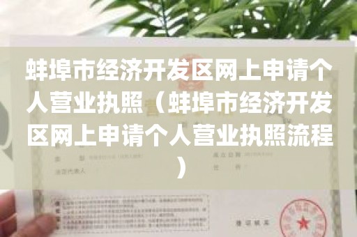 蚌埠市经济开发区网上申请个人营业执照（蚌埠市经济开发区网上申请个人营业执照流程）