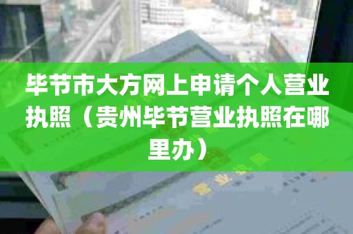 毕节市大方网上申请个人营业执照（贵州毕节营业执照在哪里办）
