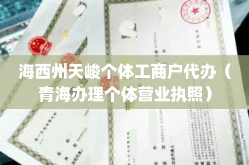 海西州天峻个体工商户代办（青海办理个体营业执照）