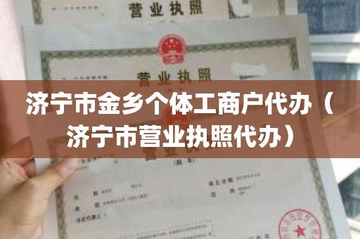 济宁市金乡个体工商户代办（济宁市营业执照代办）