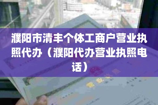 濮阳市清丰个体工商户营业执照代办（濮阳代办营业执照电话）